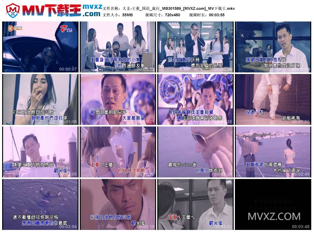 大支-王董_国语_流行_MB301589